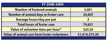 Foster Care Volunteers and Lives Saved